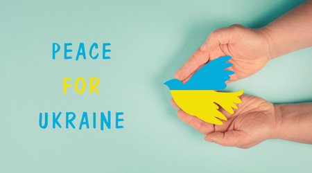 Hands holding dove in the colors of the ukrainian flag, war with Russia, peace for Ukraine