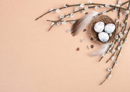 Easter holiday background, nest with small eggs, branches of pussy willow, greeting card, spring...