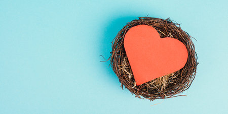 Red heart in a nest on a blue colored background, empty copy space for text, greeting cardの写真素材