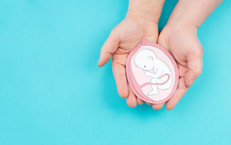 Unborn baby in the uterus, drawing of a fetus in the last trimester of pregnancy, childbirth and...