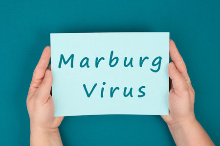 The words Marburg virus are standing on a paper, dangerous infectious disease, hemorrhagic fever, medical diagnosis, health issue, MARVの写真素材