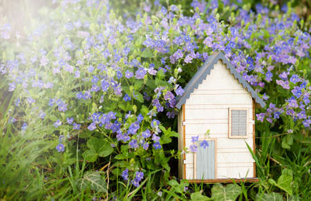 Wooden house in a meadow, buying or renting a house in nature, real estate concept, booking home for vacation, copy space for textの写真素材