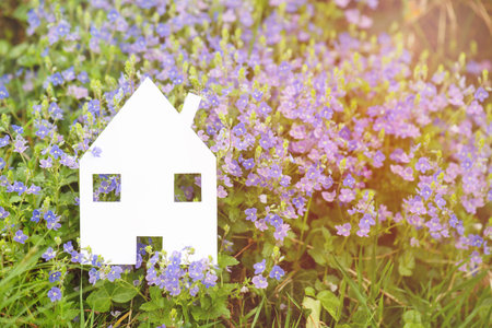 White house in a meadow, buying or renting a house in nature, real estate concept, booking home for vacation, copy space for textの写真素材