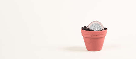 One Euro coin in small flowerpot, money growing, financial planning, profitable investment, hope conceptの写真素材