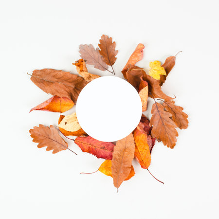 Autumn season background, frame with colorful foliage, brown, red and yellow leaves, greeting cardの写真素材