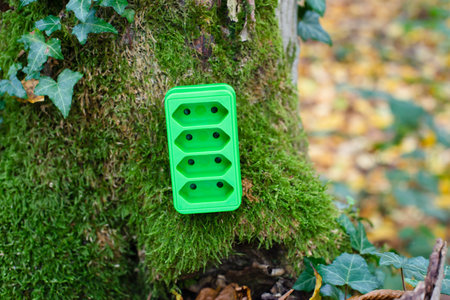 Green electricity socket on a tree trunk, sustainable renewable energy, csr concept, environment protection, eco technologyの写真素材