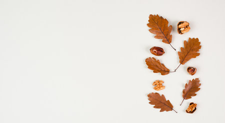 Autumn season background, frame with colorful foliage, brown oak leaves and nuts, greeting cardの写真素材