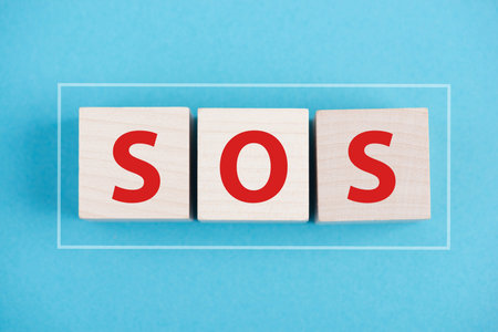SOS, help needed, domestic violence, abused woman and children, international awareness month...