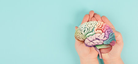 Holding a brain in the hands, Parkinson's disease, Alzheimer's award, mental disorder dementia, psychology problems, adhd, cerebral vein thrombosisの写真素材