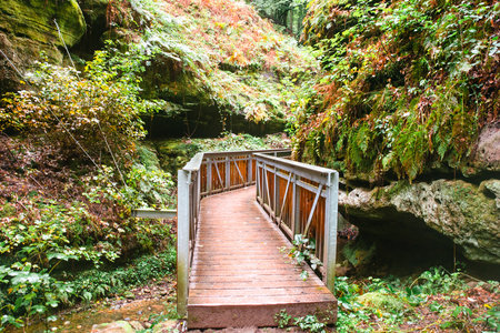 Mullerthal trail in Luxembourg between Echternach and Berdorf, hiking through a forest with sandstone rock formationsの写真素材