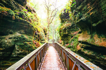 Mullerthal trail in Luxembourg between Echternach and Berdorf, hiking through a forest with sandstone rock formationsの写真素材