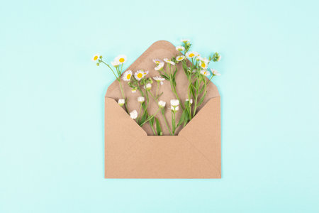 Envelope with daisy flowers, greeting card for mother and grandmother, birthday in summer, gift with wildflowerの写真素材