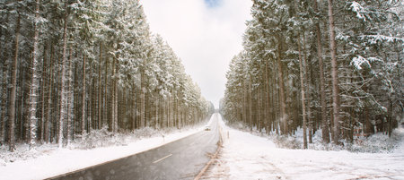 Road through a snow covered forest, slippery and frosty street in winter, empty highway in cold temperature, seasonal weather and landscapeの写真素材