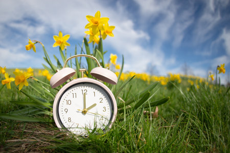 Alarm clock with daffodils flowers, switch to daylight saving time in spring, summer time changeoverの写真素材