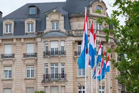 National Day Luxembourg, celebration of the Grand Duke's birthday, military parade with Luxembourg army, police, fire department, rescue service and armed forces, Luxembourg city, 23.06.2024の写真素材