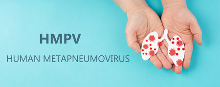 HMPV virus, human metapneumovirus, respiratory tract illness, contagious child disease of the lungの写真素材