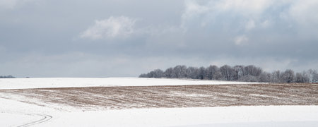 Trees covered in snow and ground frost, winter season, frosty scenery in wintertimeの写真素材