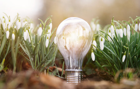 World earth hour, light bulb stands on a meadow with snowdrop flowers, turn off lights, save energy,...