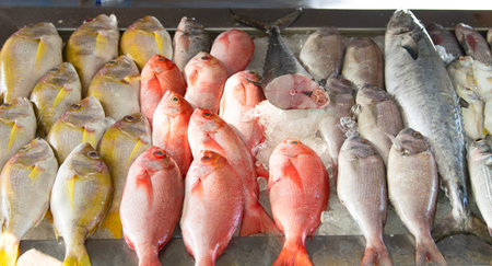 Fish market in Kochi India, market stall with freshly caught sea â€‹â€‹bream, red snapper,...