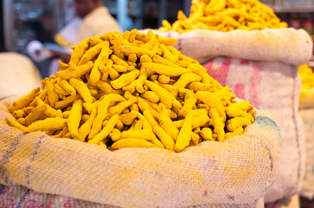 Turmeric root spices for sale on a spice market in India, fresh turmeric ingredients for cooking Indian foodの写真素材