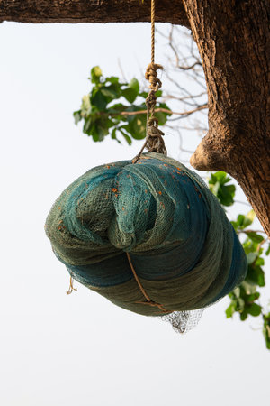 Bundle of fishing nets hanging from a tree, Kochi, India, fishing industry at the Arabian Sea coastの写真素材