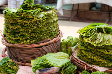 Betel leaf for sale at a market stall in India, Piper betle used for chewing areca nut, Asian herbの写真素材