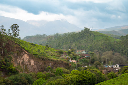 Munnar city with tea plantation, South India, landscape with fields in Kerala, Nilgiri hills,...