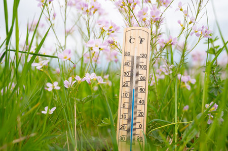 Thermometer with flowers, weather forecast, spring and summer meadow, blue sky and sun, measure the...