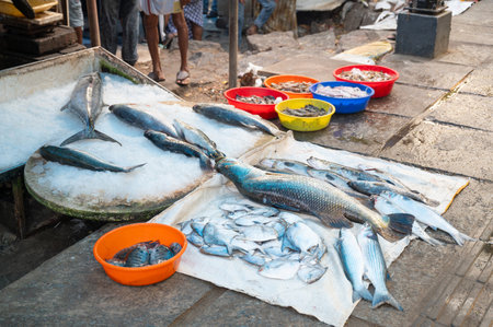 Fish market in Kochi India, market stall with freshly caught seafood, fishing industry at the Arabian Seaの写真素材