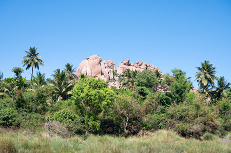 Boulders of Hampi with palm trees at Tungabhadra river, rocky terrain landscape, South India, Karnatakaの写真素材