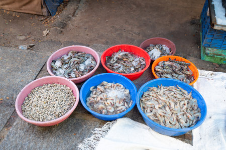 Fish market in Kochi India, market stall with freshly caught seafood, fishing industry at the Arabian Seaの写真素材