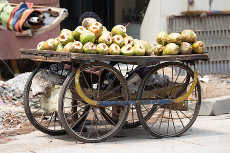 Fresh coconuts on a market stall in India, tropical fruit and milk drink, street of Mumbai, Nam Hom coconutの写真素材