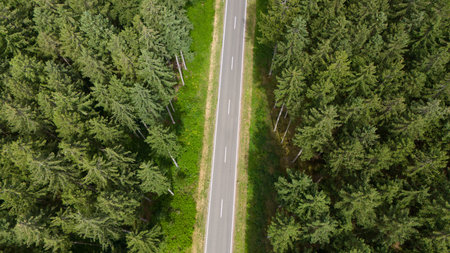 Road through forest, aerial view, travel through evergreen conifer trees, climate change, global...