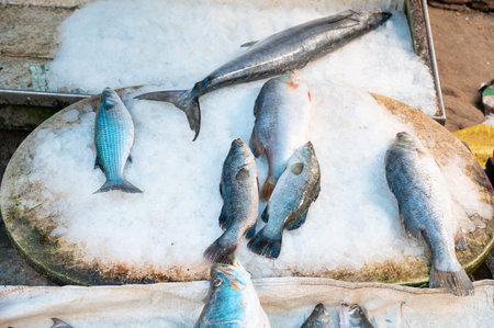 Fish variety on market in Kochi India, sale stall with freshly caught seafood, fishing industry at...