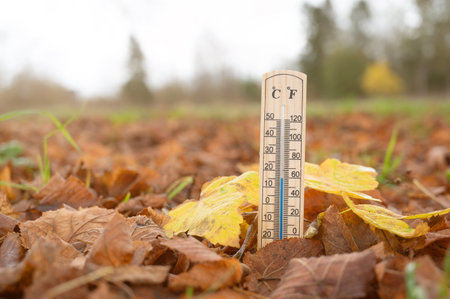 Thermometer, autumn foliage, fall season, measure the temperature, weather forecast, cold rainy dayの写真素材