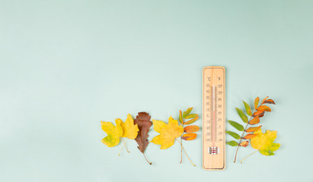Thermometer with autumn foliage, fall season, measure the temperature, weather forecast, cold rainy dayの写真素材