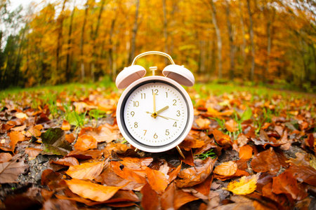 End of daylight saving time in autumn, alarm clock fall back switch, winter time changeover, forest with colorful foliageの写真素材