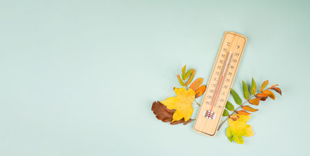 Thermometer with autumn foliage, fall season, measure the temperature, weather forecast, cold rainy...