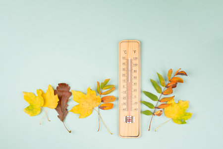 Thermometer with autumn foliage, fall season, measure the temperature, weather forecast, cold rainy dayの写真素材