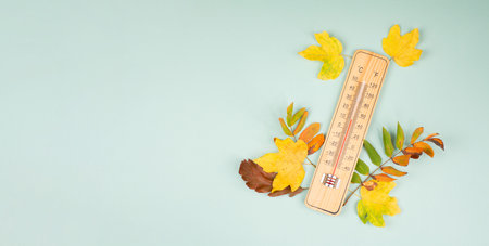 Thermometer with autumn foliage, fall season, measure the temperature, weather forecast, cold rainy...