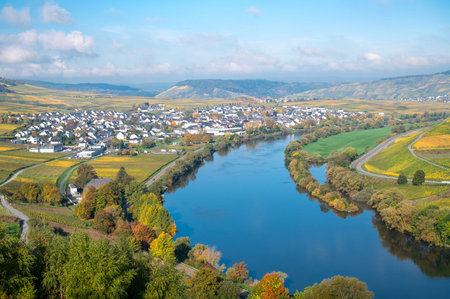 Leiwen, Moselle Valley with loop of Mosel river, aerial view, riesling wine growing on vine,...