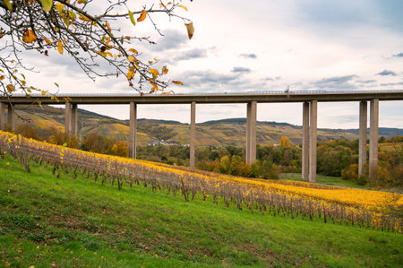 Moselle Viaduct Longuich, vineyard in Mosel valley, autumn season, bridge of highway crossing river near Trier, German autobahnの写真素材