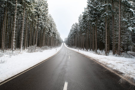 Road through snow covered coniferous forest landscape, Germany, ecosystem woodland, travel and environment, cold frosty temperature in winterの写真素材