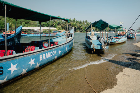 Palm tree island and boats on Coco beach in Goa, South India, tropical west coast, Arabian Sea in...