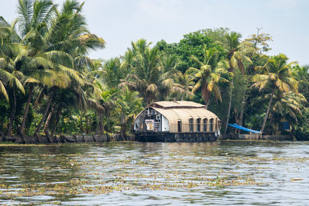 Alleppey backwaters in India, Alappuzha houseboats on waterway, small canal of Laccadive Sea, serene water bodyの写真素材