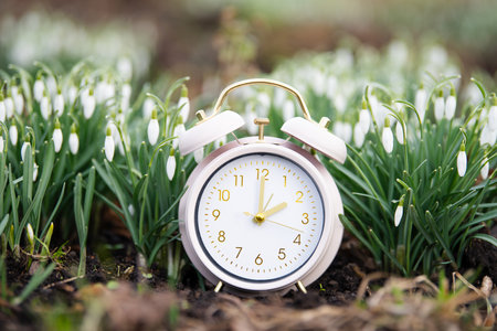 Switch to daylight saving time in spring, summertime changeover, alarm clock with snowdrop flowers...
