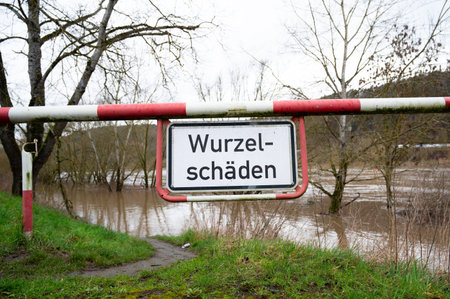 Root damage, warning sign, flooded Moselle river, climate change, tree standing in water, environment, rising water level, destroyed infrastructureの写真素材