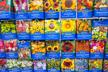 Flower seeds, store display, growing flowery meadow with sunflowers, marigolds and snapdragons in garden, planting in spring, Trier, Germany, February 13th 2026のeditorial素材