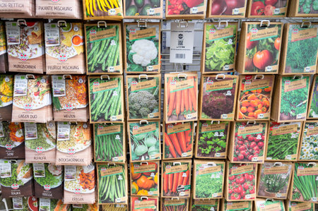 Vegetable seeds, store display, growing broccoli, cauliflower, tomatoes and beans in garden, planting in spring, Trier, Germany, February 13th 2026のeditorial素材