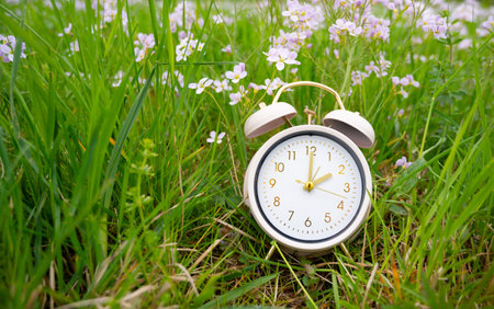 Switch to daylight saving time in spring, summertime changeover, alarm clock with purple flowers in springの写真素材